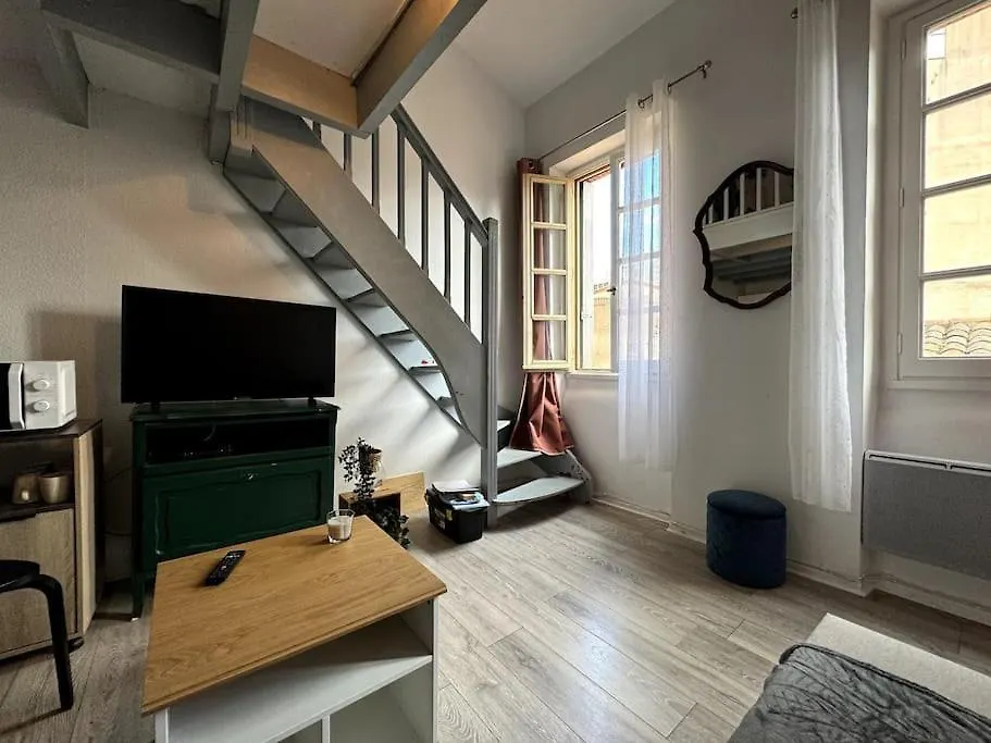 Grand Duplex - Gare Matabiau - Centre Toulouse Apartment France