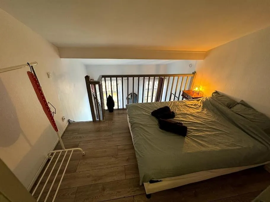 Grand Duplex - Gare Matabiau - Centre Toulouse Apartment