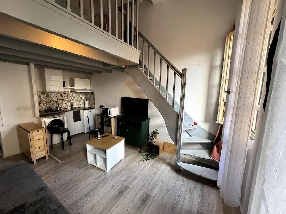 Grand Duplex - Gare Matabiau - Centre Toulouse Apartment France