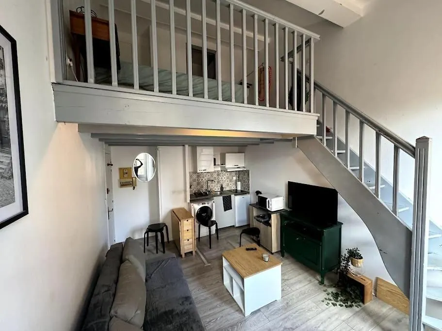 Grand Duplex - Gare Matabiau - Centre Toulouse Apartment 0*,